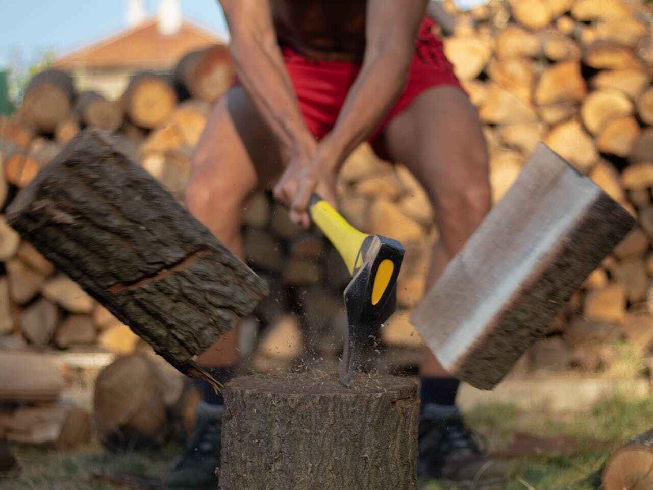 Large Tree Removal in Bear Valley Springs, CA